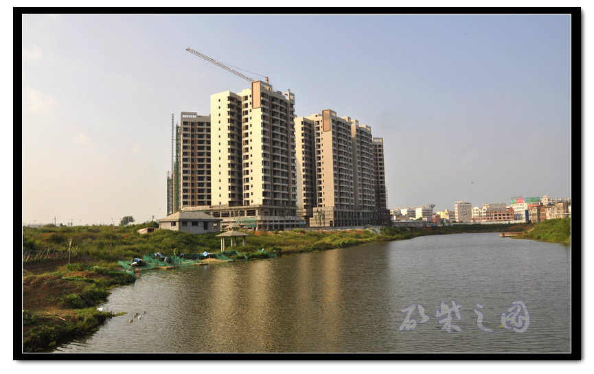 龙池湖畔1.jpg