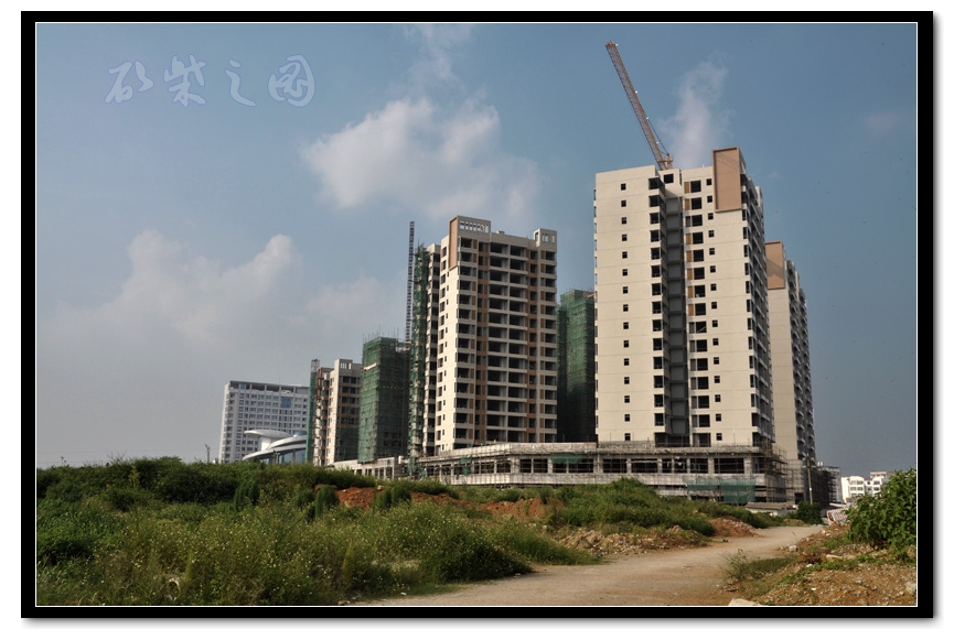 龙池湖畔3.jpg