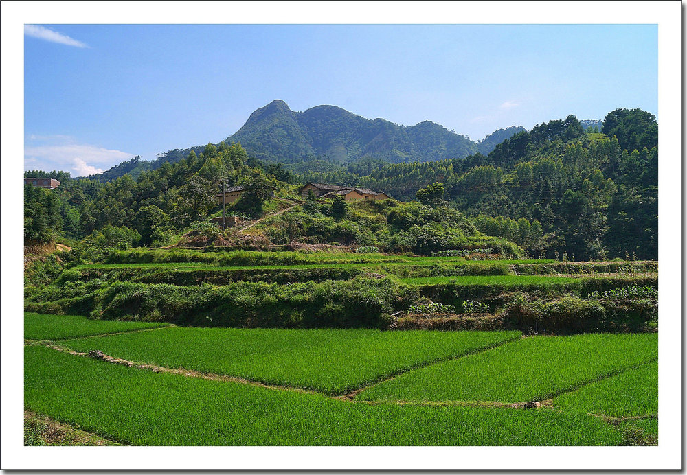 DSC00717_副本.jpg