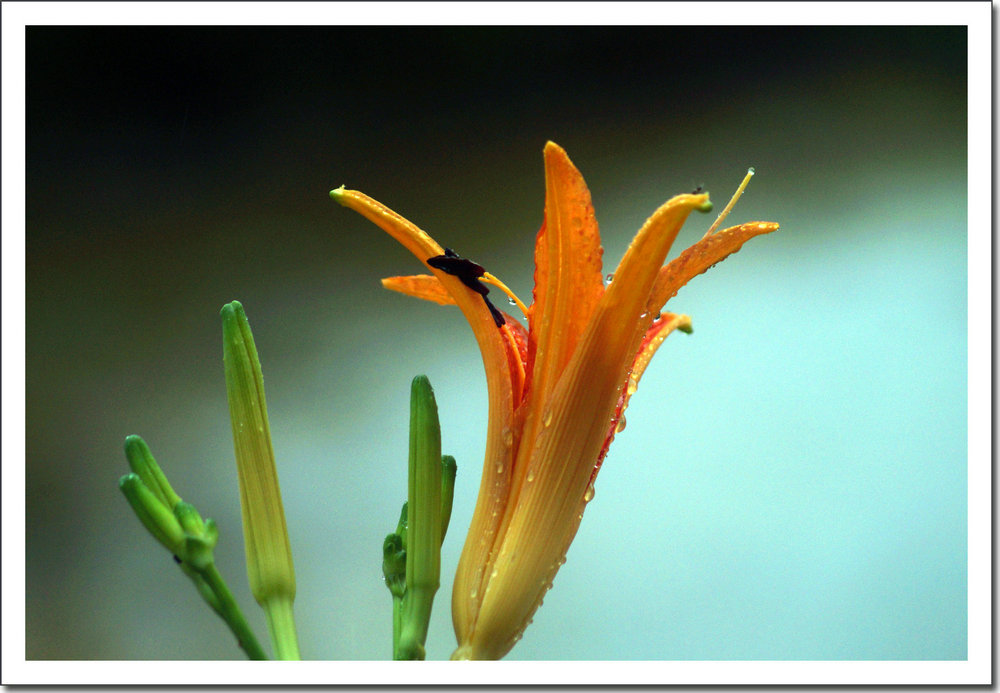 DSC00008_副本.jpg