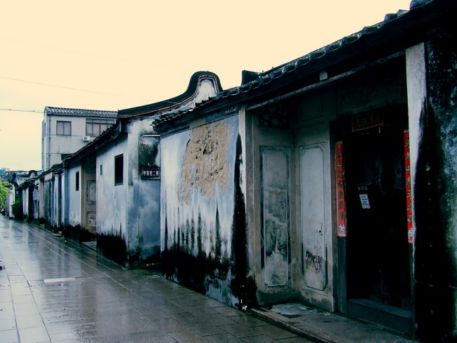 DSCF864500.jpg