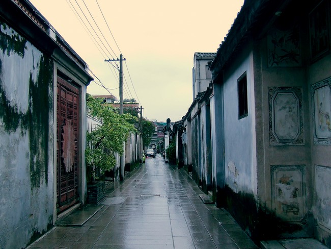 DSCF864600.jpg