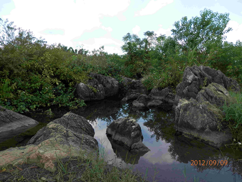 P9091267_副本.jpg