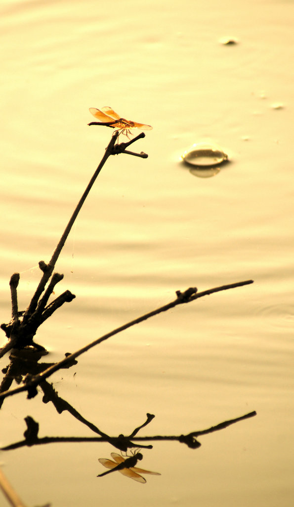 DSC01509_副本.jpg