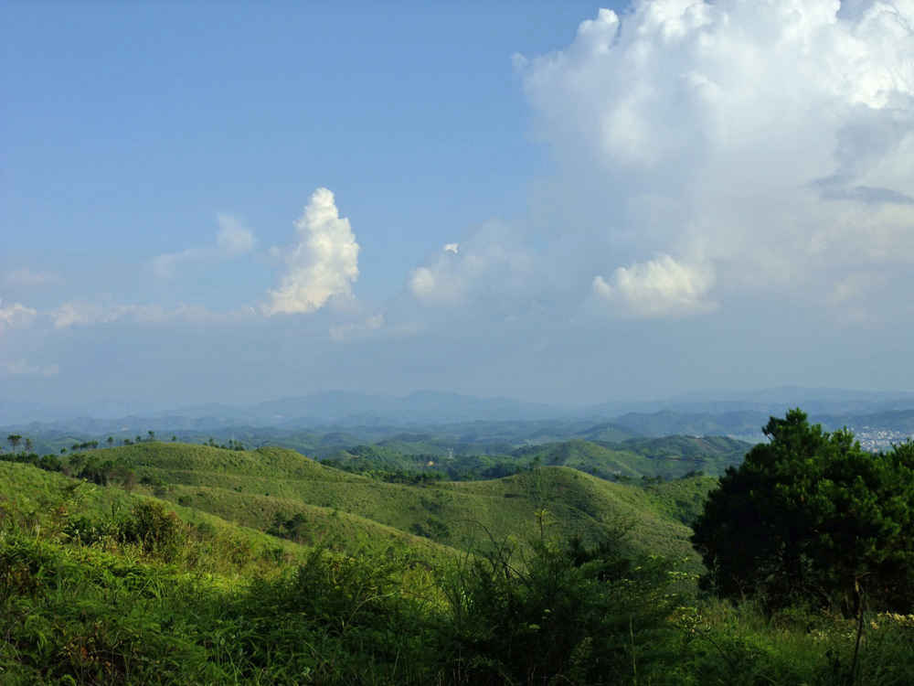 DSCF0166.jpg