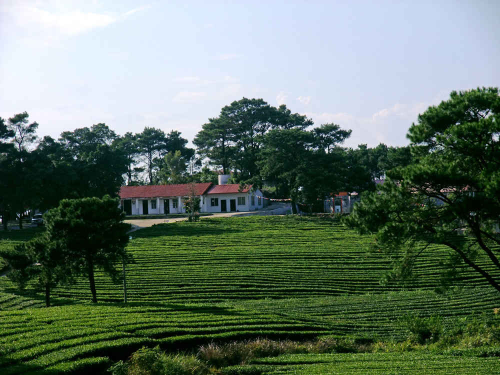 DSCF0080.jpg