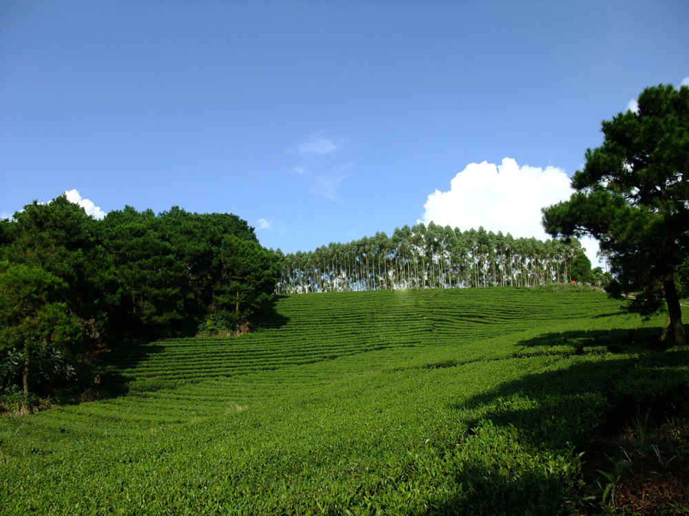 DSCF0082.jpg