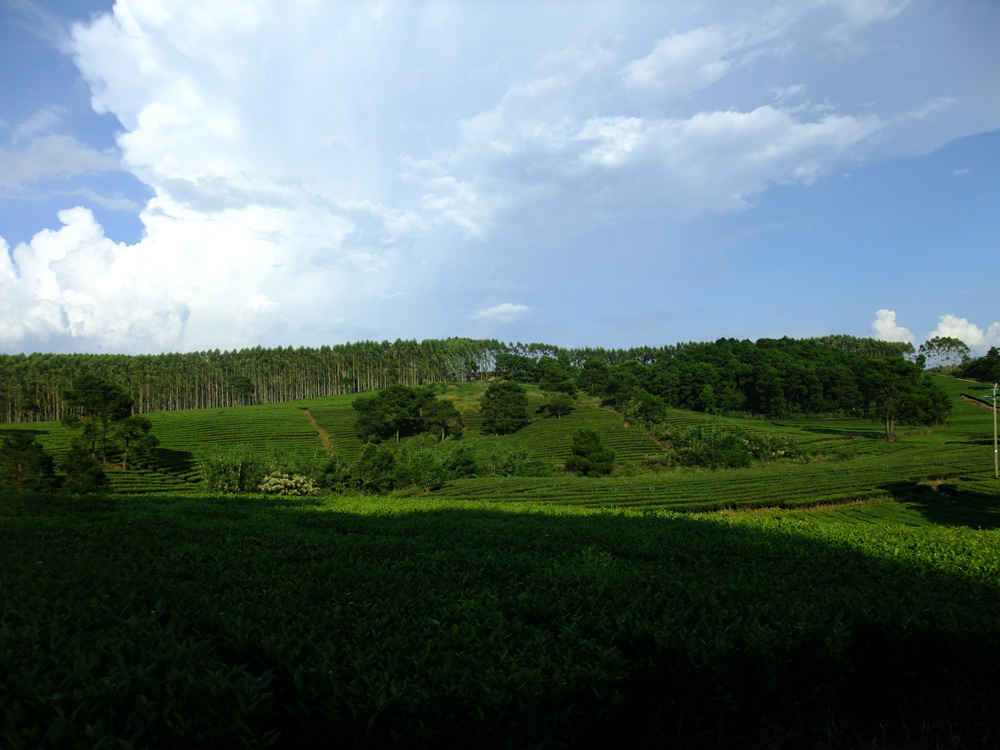 DSCF0084.jpg