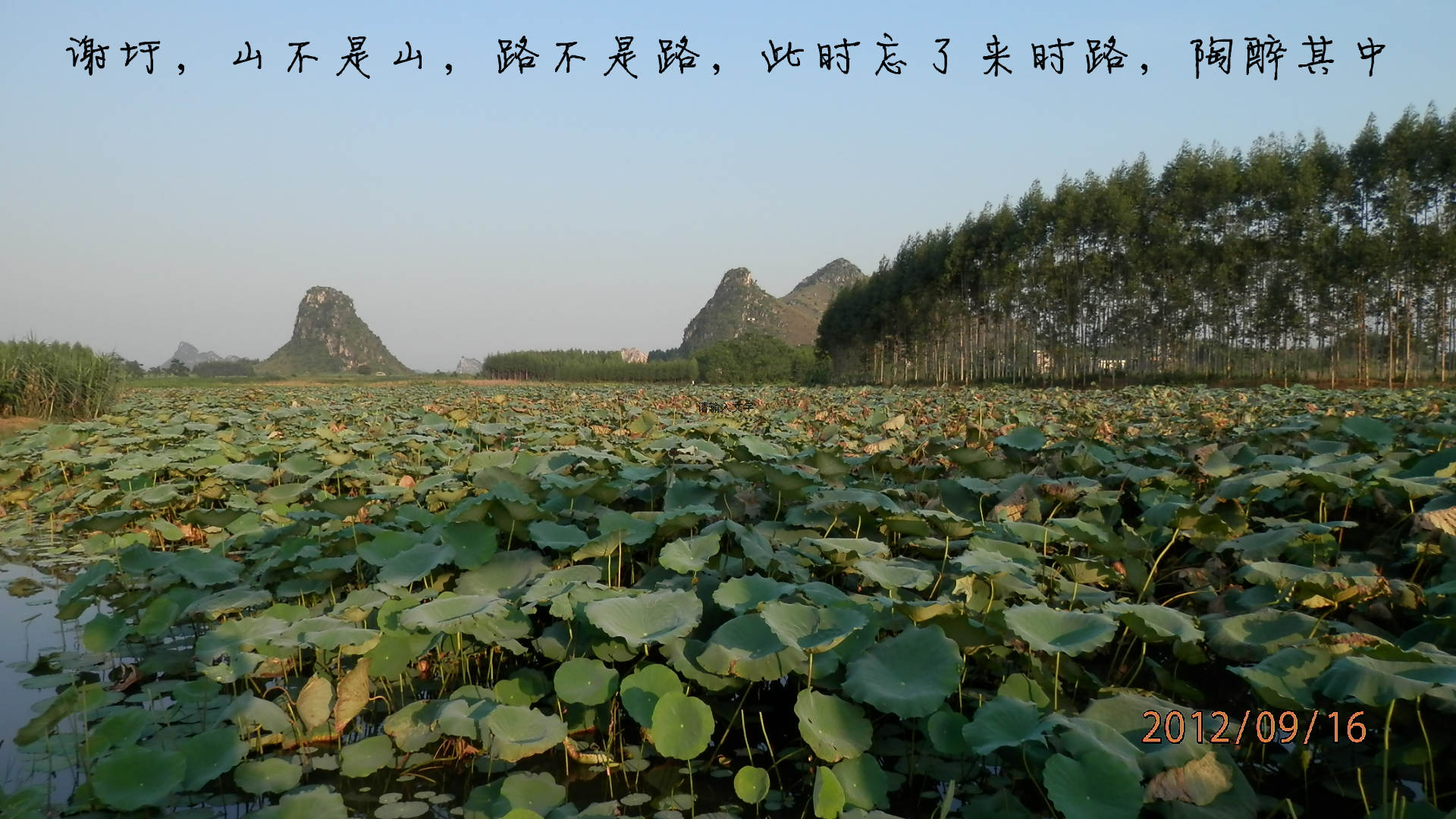 P9160251_副本.jpg