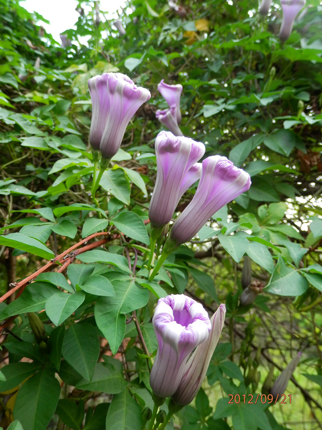 P9210269_副本.jpg