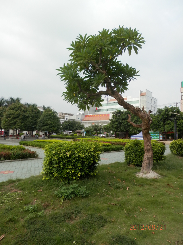 P9210258_副本.jpg