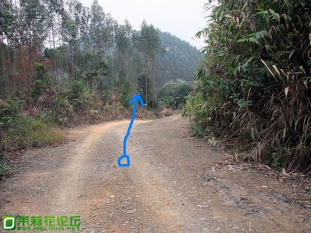 走下面那一条。.jpg