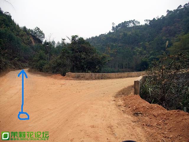 过那鉴村后，沿大道前行，到这个路口左转.jpg