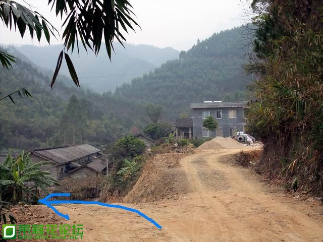 在那歪林场路口走左下坡路.jpg