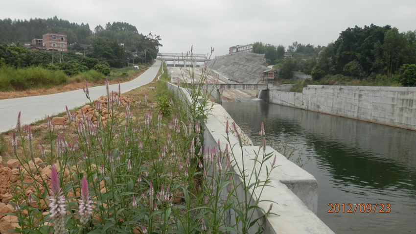 P9230264_副本.jpg