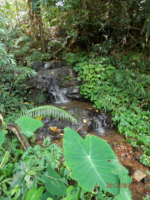 P9230329_副本.jpg