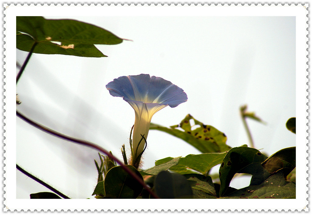 DSC02584_副本.JPG