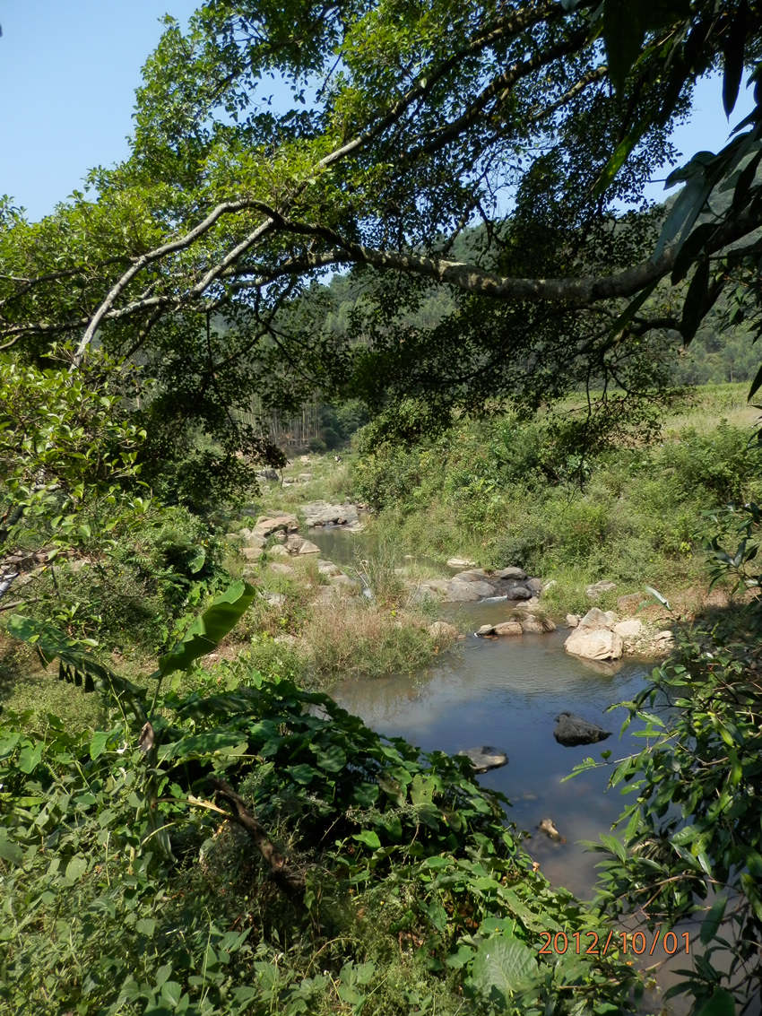 PA010500_副本.jpg