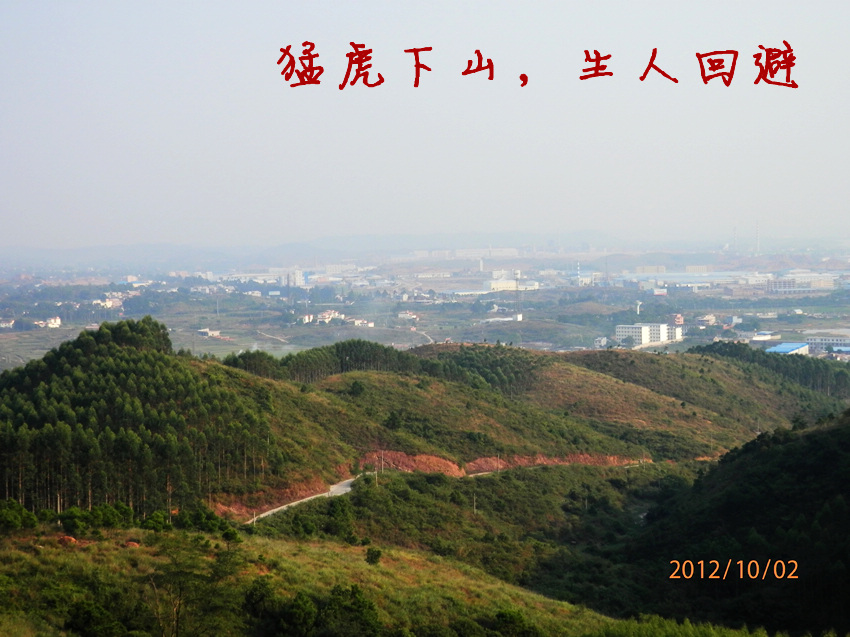 PA020168_副本.jpg