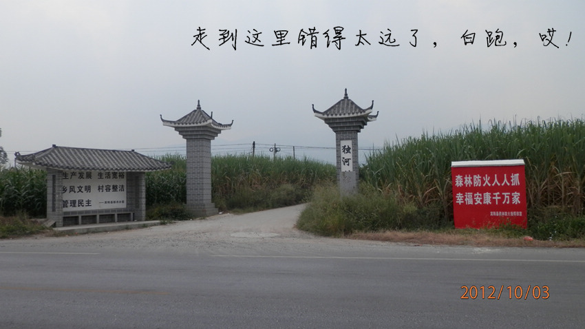 PA030181.JPG