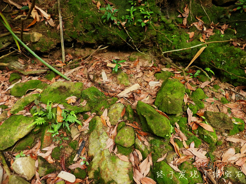 PA030453_副本.jpg