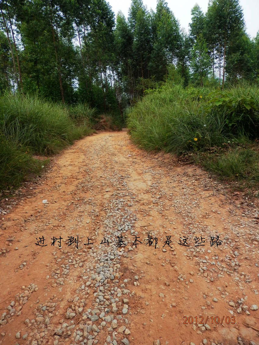 PA030468.JPG