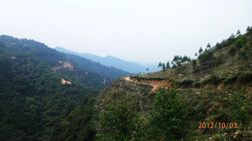 PA030204.JPG