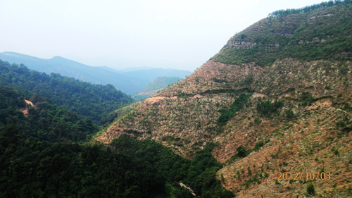 PA030206.JPG
