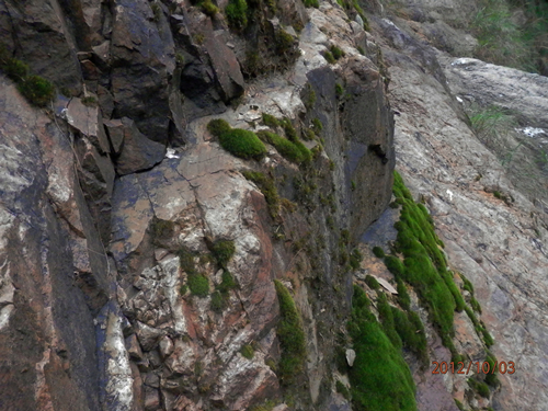 PA030321.JPG