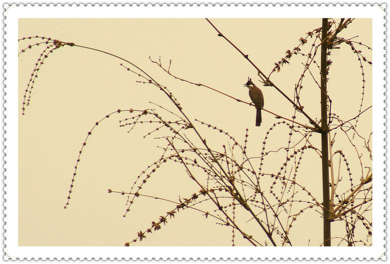 DSC02607_副本.JPG