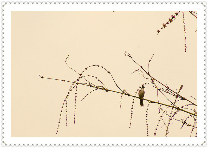 DSC02614_副本.JPG