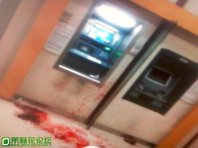 IMG00109.jpg