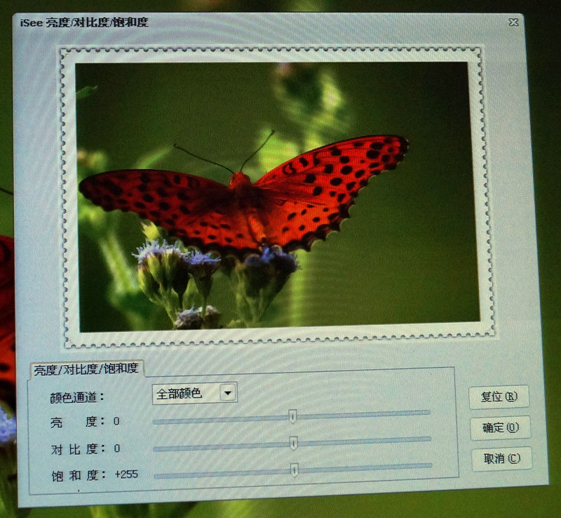 DSC04315_副本.JPG