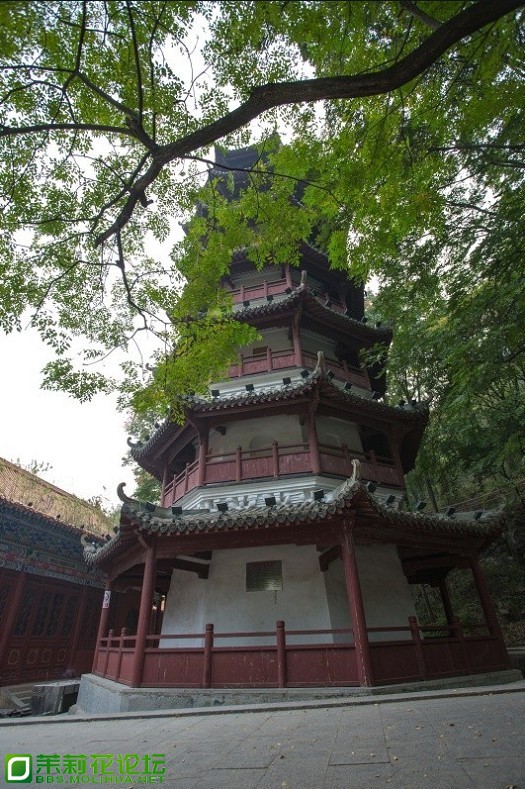未命名016.jpg