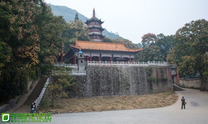 未命名008.jpg