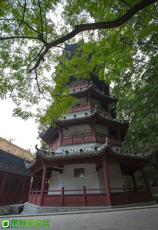 未命名009.jpg