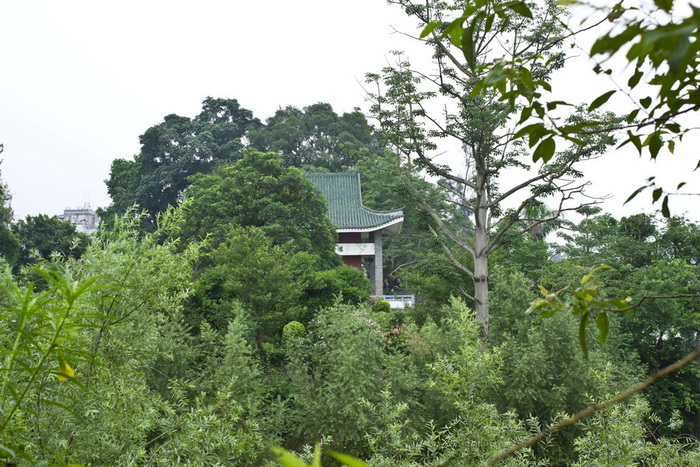 _MG_0409_调整大小.jpg