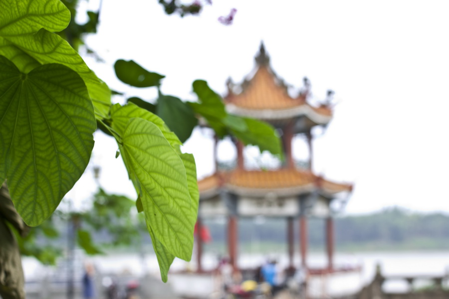_MG_0414_调整大小.jpg