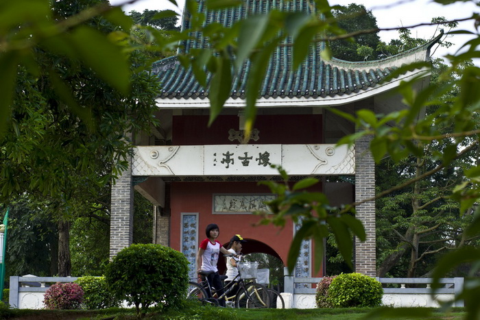 _MG_0494_调整大小.jpg