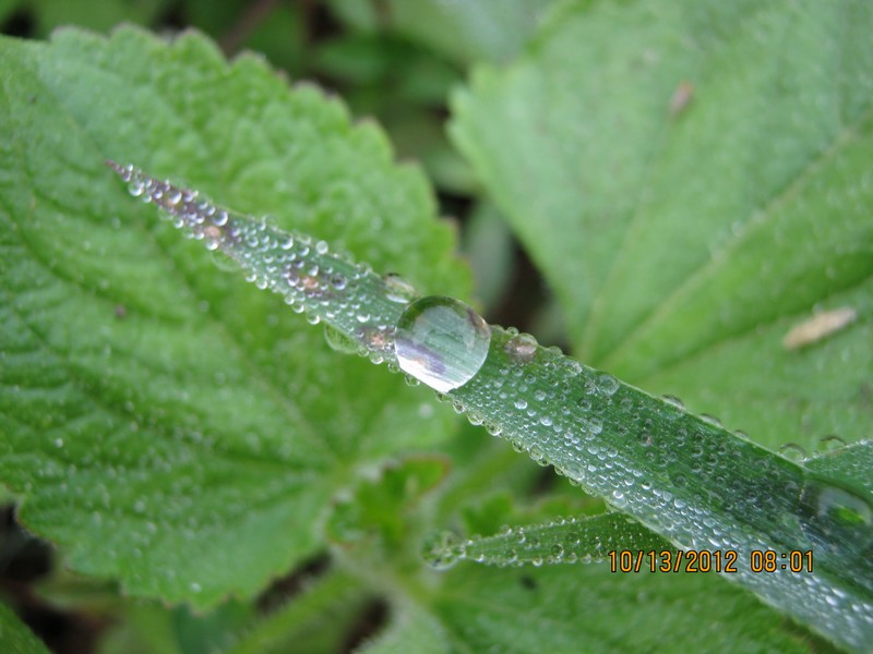 nEO_IMG_IMG_0077.jpg