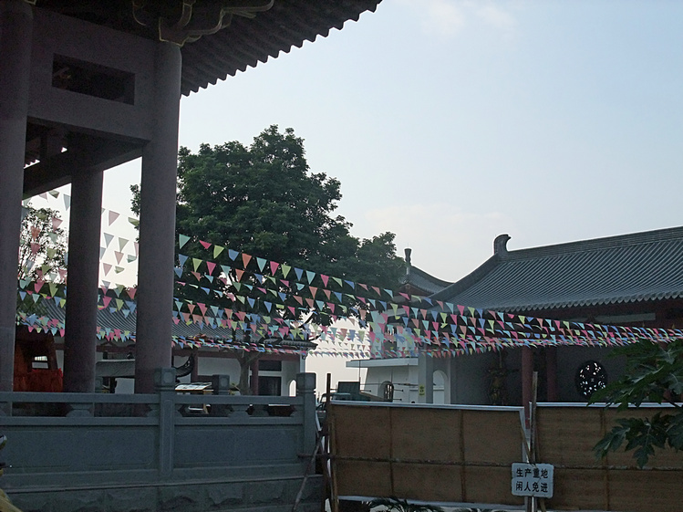 DSCF1037.jpg