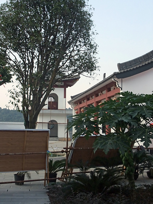 DSCF1039.jpg