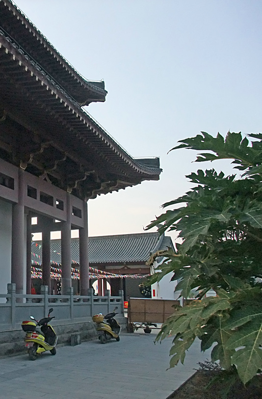 [人文|纪实 即将完工的应天寿佛寺