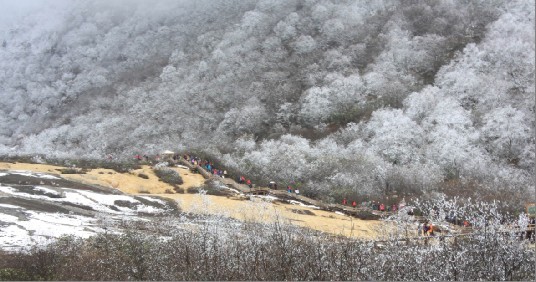 未命名.jpg