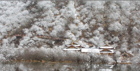 黄龙看雪