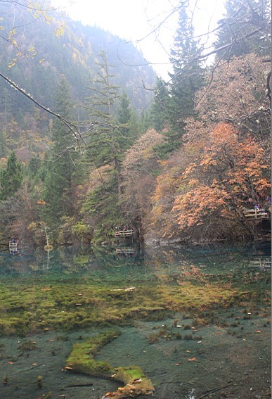 未命名5082  .jpg