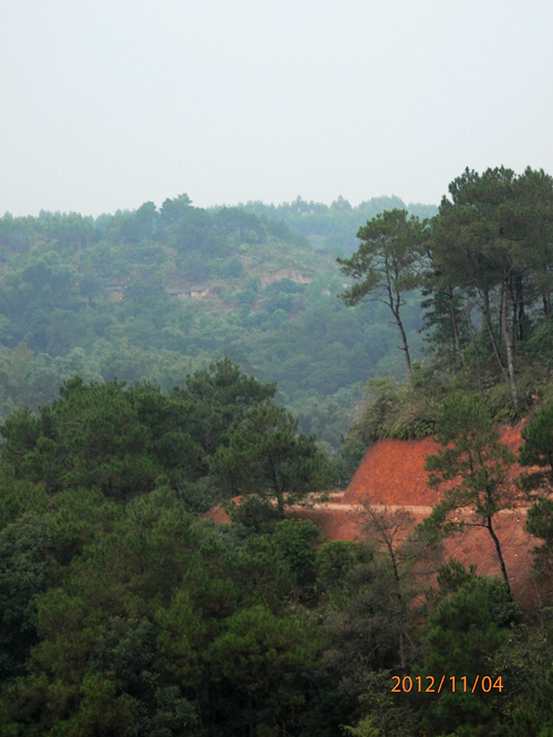PB040449.JPG