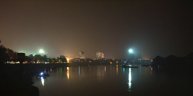 横州夜海棠(0).jpg