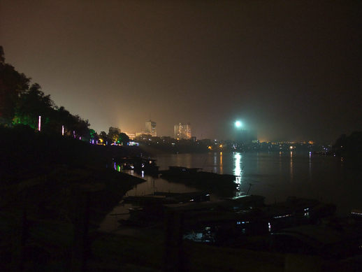 横州夜海棠 (1).jpg
