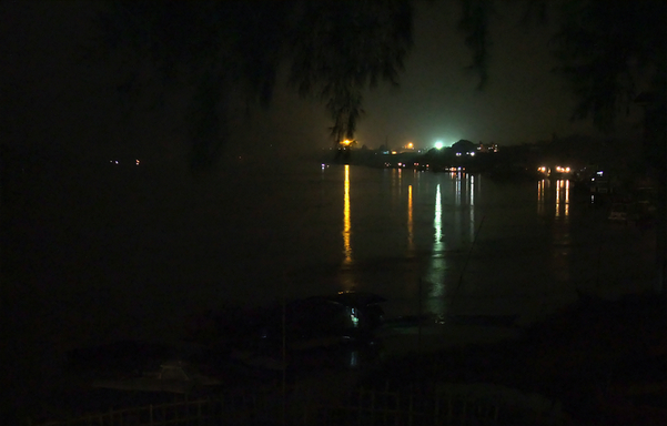 横州夜海棠 (2).jpg
